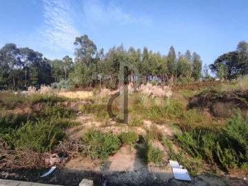 Terreno para Venda em Gulpilhares e Valadares