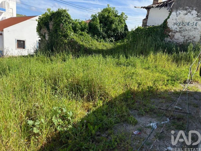 Terreno para Venda em Vimeiro Foto 16