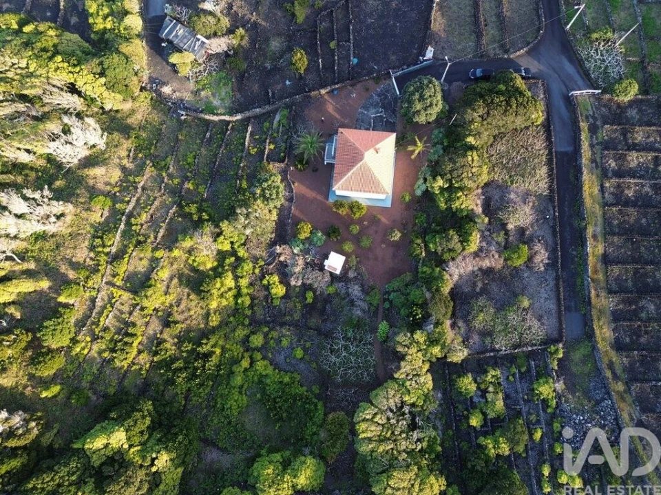 Moradia T3 para Venda em Piedade Foto 18