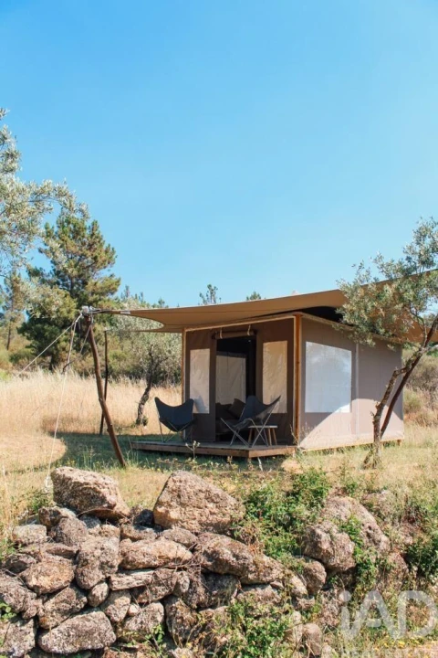 Terreno para Venda em Salgueiro do Campo