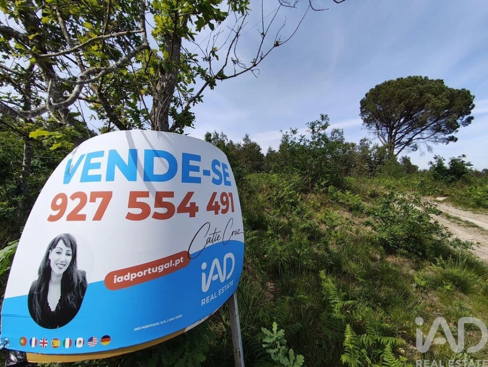 Terreno para Venda em Sande Vila Nova e Sande São Clemente Foto 15