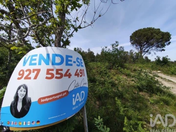Terreno para Venda em Sande Vila Nova e Sande São Clemente