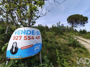 Terreno para Venda em Sande Vila Nova e Sande São Clemente