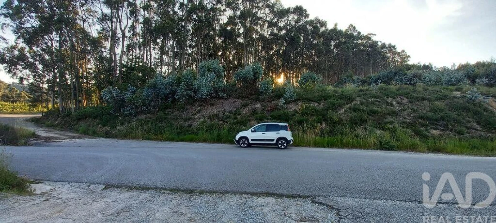 Terreno para Venda em Sande Vila Nova e Sande São Clemente Foto 10