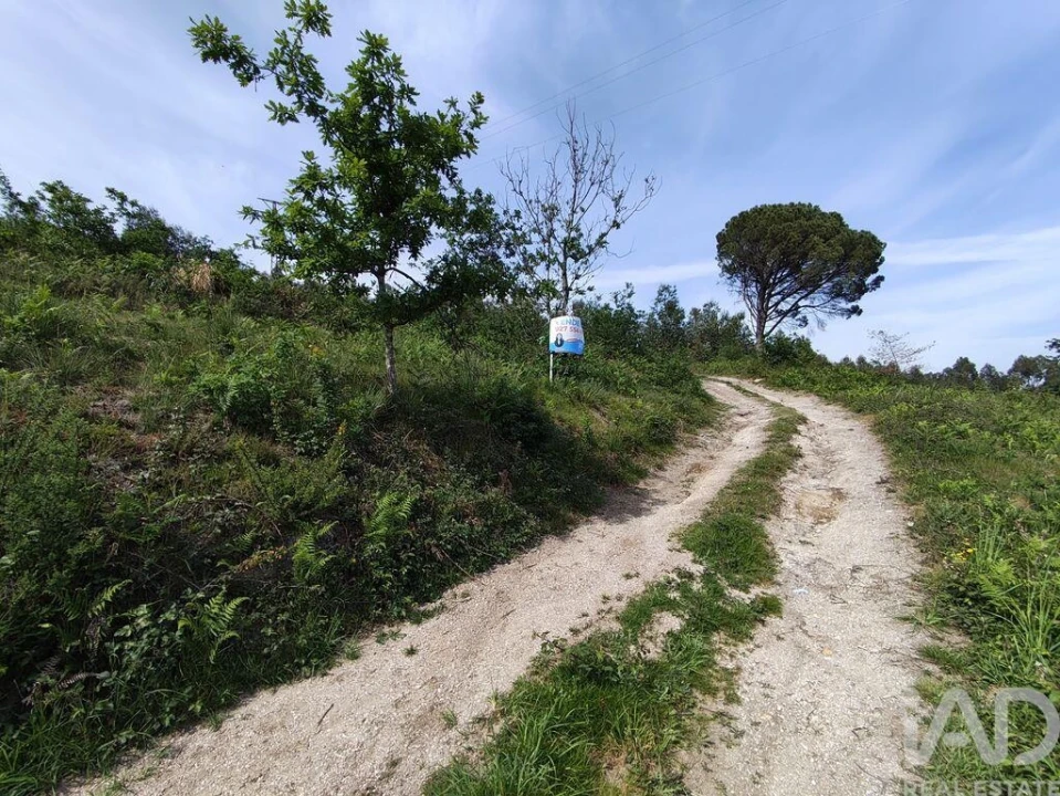 Terreno para Venda em Sande Vila Nova e Sande São Clemente Foto 14