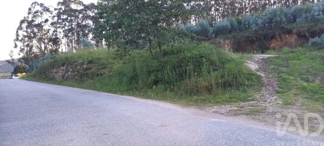 Terreno para Venda em Sande Vila Nova e Sande São Clemente Foto 5