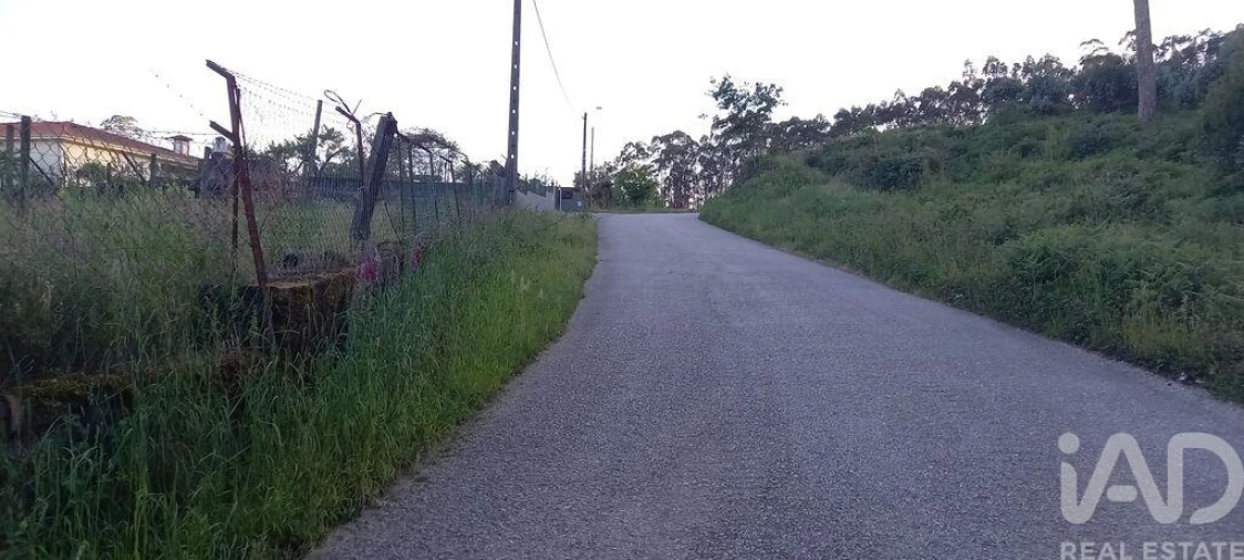 Terreno para Venda em Sande Vila Nova e Sande São Clemente Foto 4