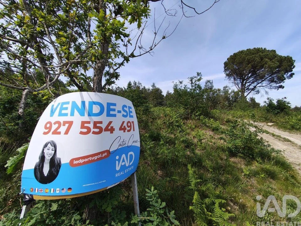 Terreno para Venda em Sande Vila Nova e Sande São Clemente Foto 1