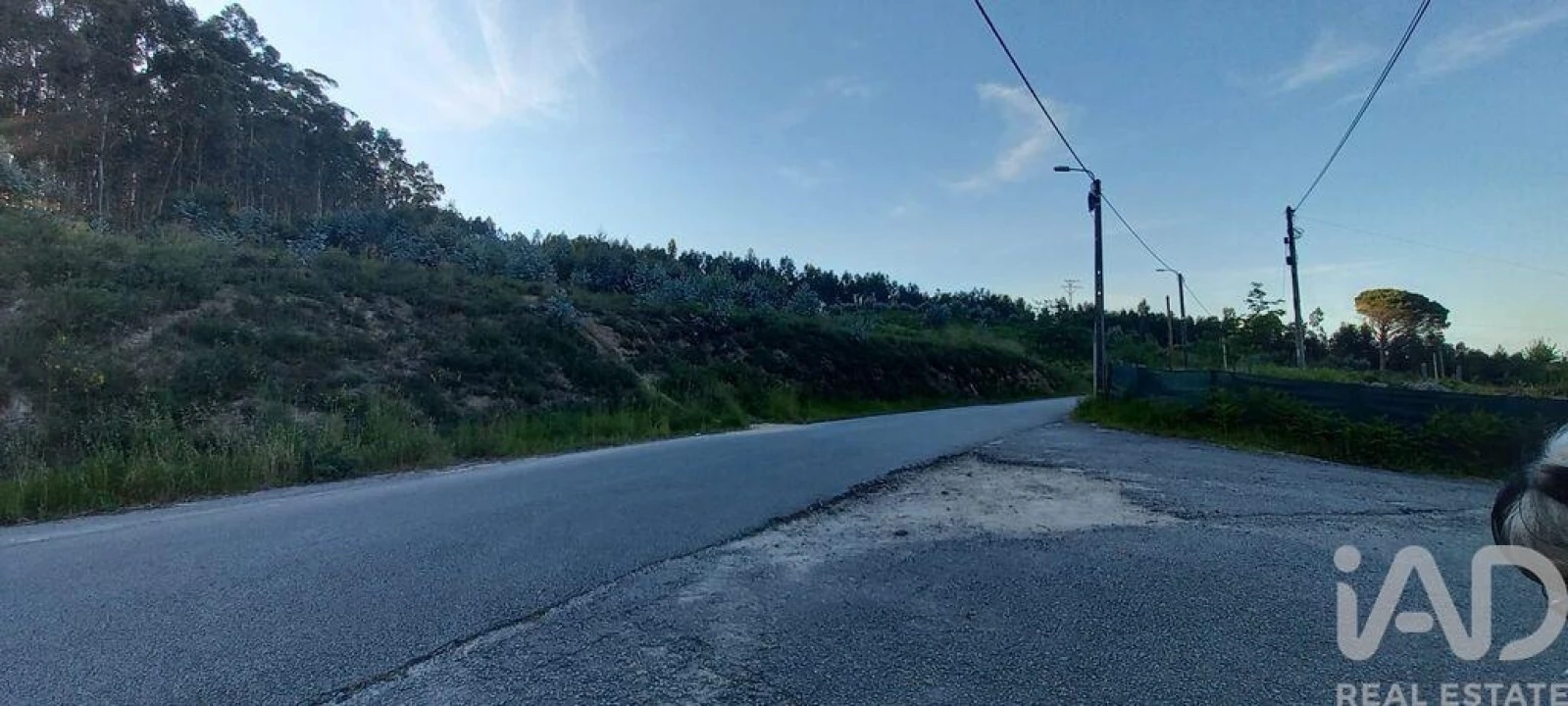 Terreno para Venda em Sande Vila Nova e Sande São Clemente Foto 8