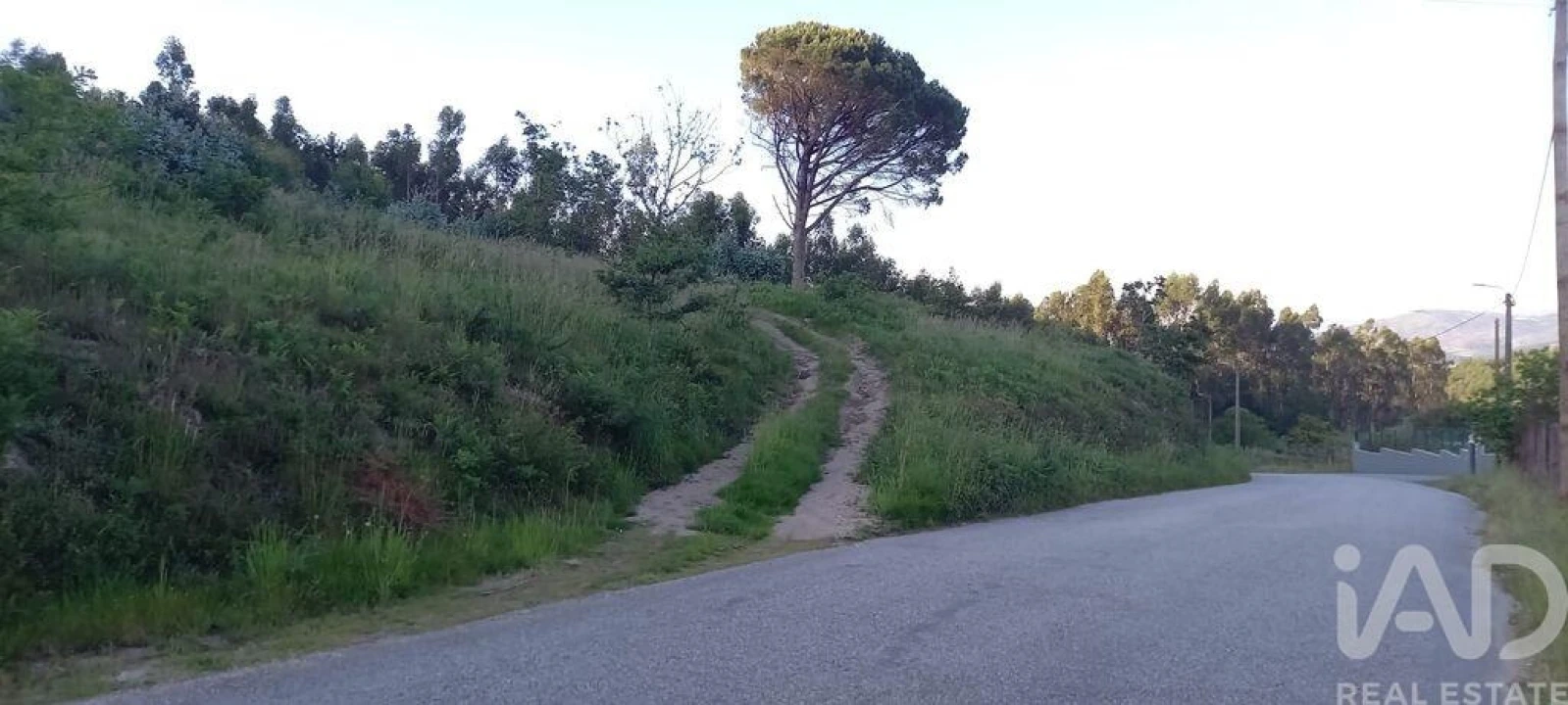 Terreno para Venda em Sande Vila Nova e Sande São Clemente Foto 1
