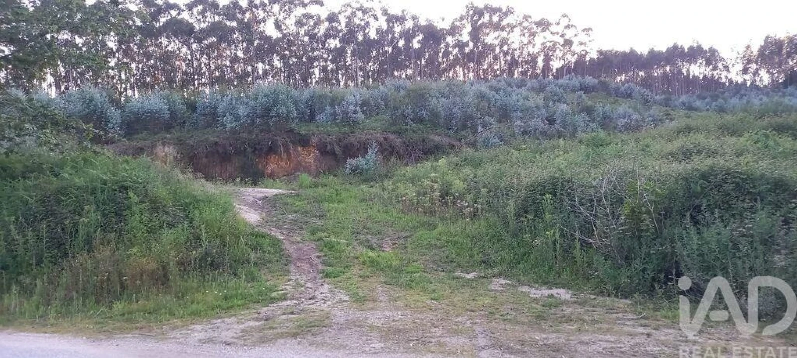Terreno para Venda em Sande Vila Nova e Sande São Clemente Foto 6