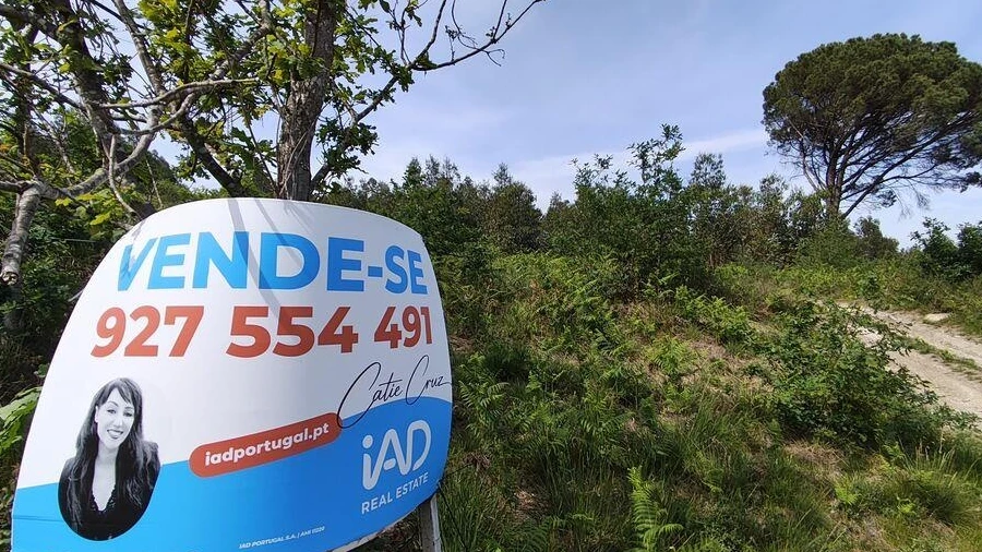 Terreno para Venda em Sande Vila Nova e Sande São Clemente