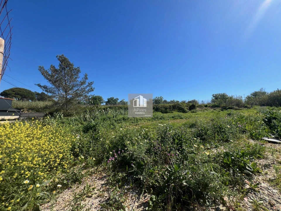 Terreno para Venda em Caparica e Trafaria Foto 12