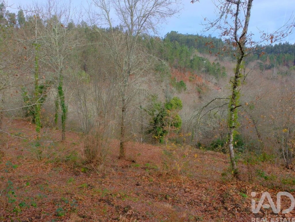 Moradia para Venda em Bordonhos Foto 14