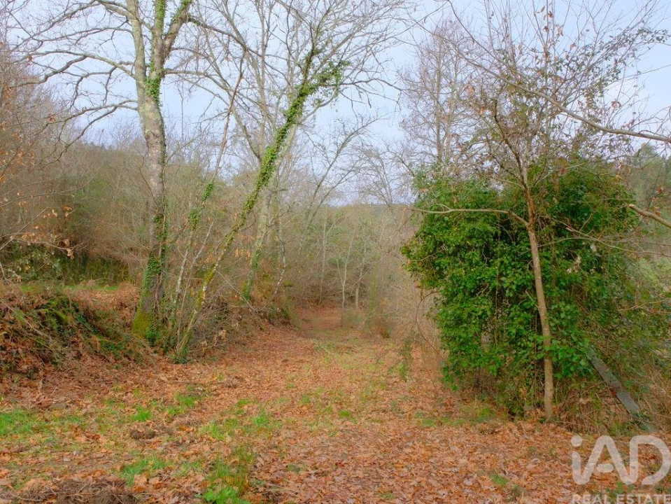 Moradia para Venda em Bordonhos Foto 9