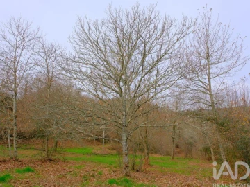 Moradia para Venda em Bordonhos
