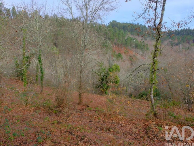 Moradia para Venda em Bordonhos Foto 14