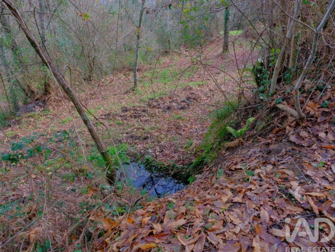 Moradia para Venda em Bordonhos Foto 12