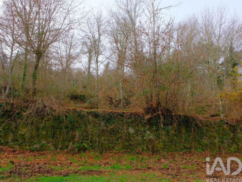 Moradia para Venda em Bordonhos Foto 11