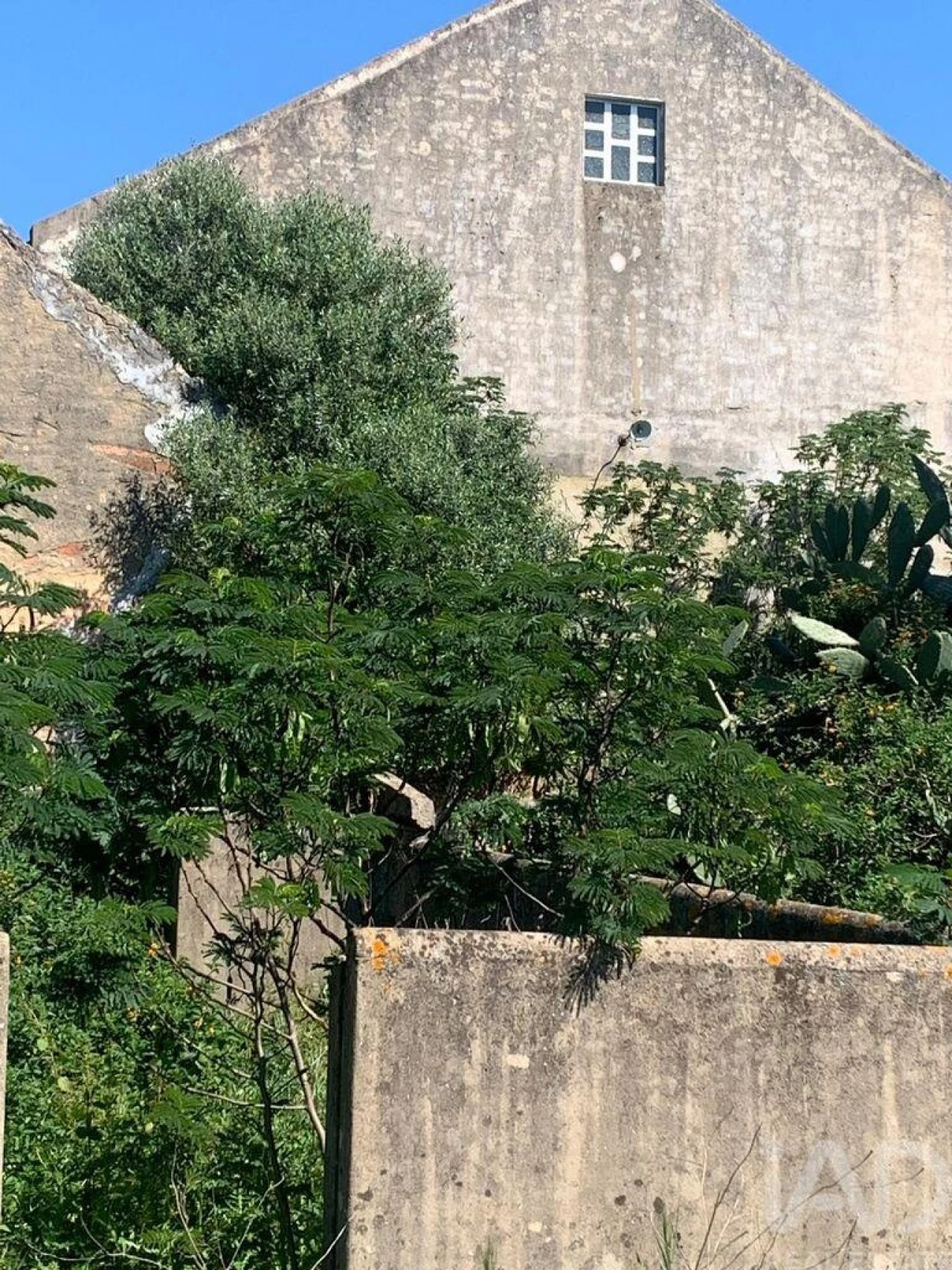 Terreno para Venda em Palmela Foto 6