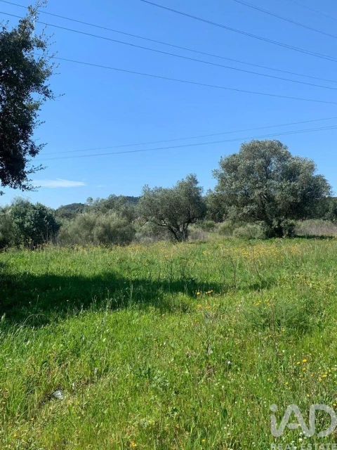 Terreno para Venda em Palmela