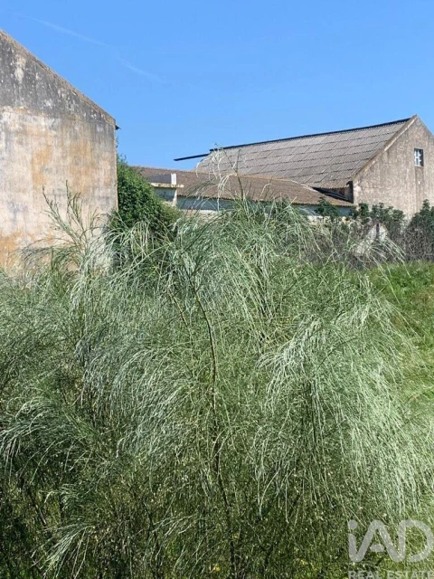 Terreno para Venda em Palmela