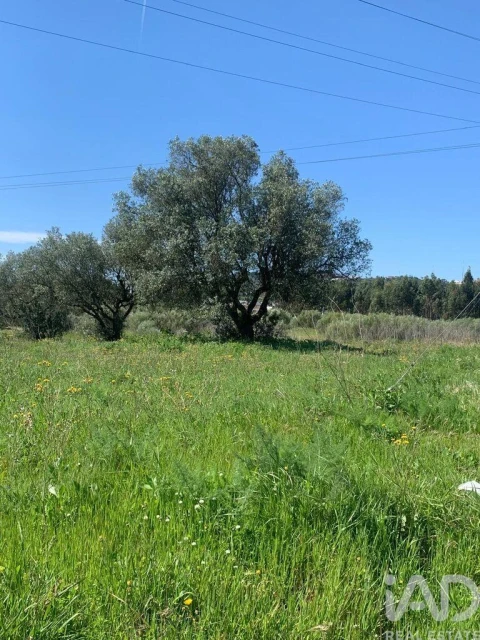 Terreno para Venda em Palmela