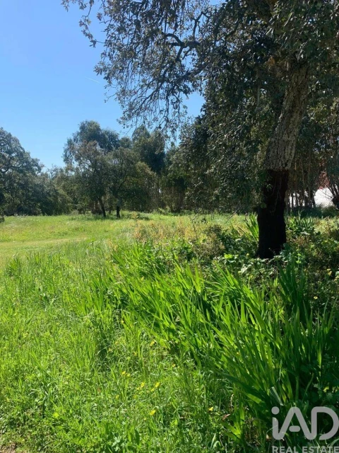 Terreno para Venda em Palmela