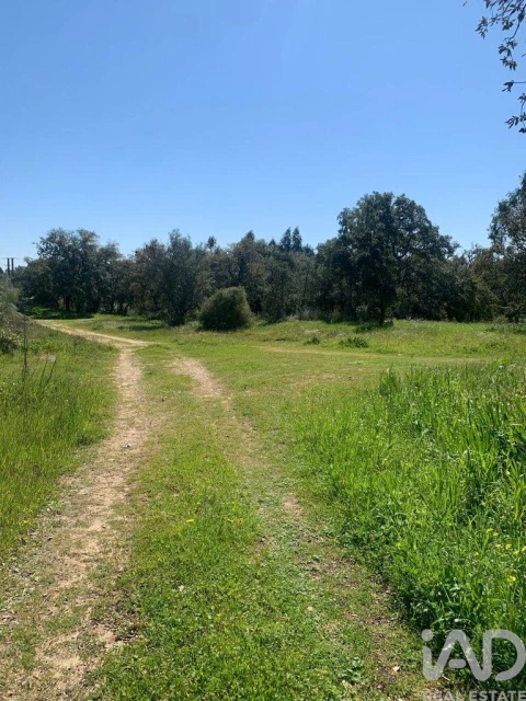 Terreno para Venda em Palmela