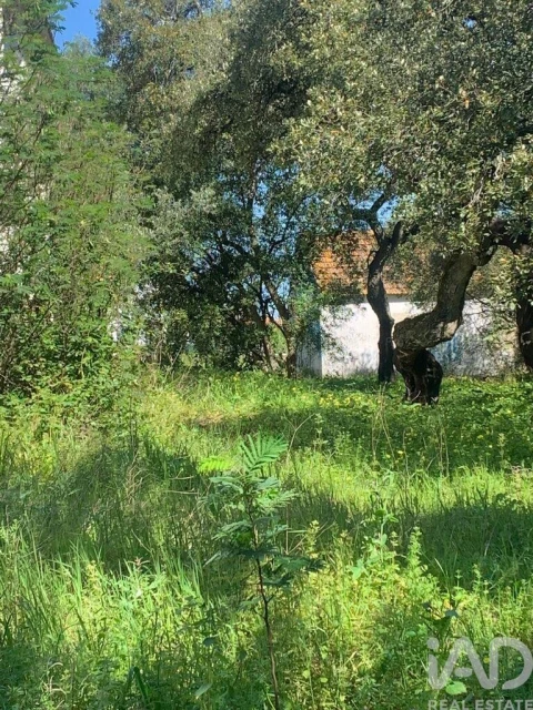 Terreno para Venda em Palmela