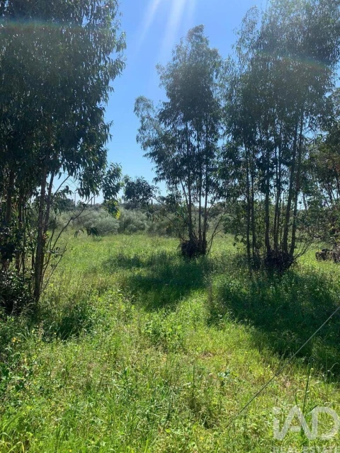 Terreno para Venda em Palmela