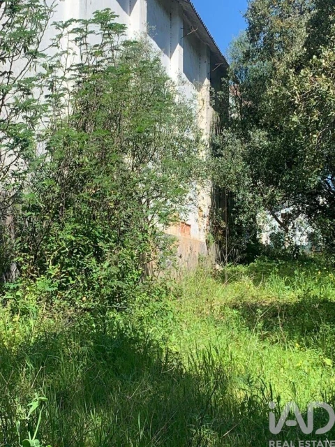 Terreno para Venda em Palmela