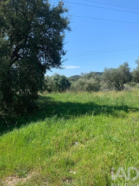 Terreno para Venda em Palmela