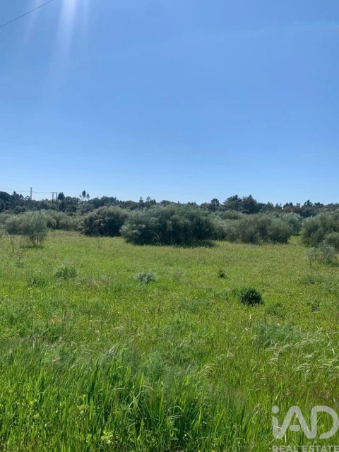 Terreno para Venda em Palmela