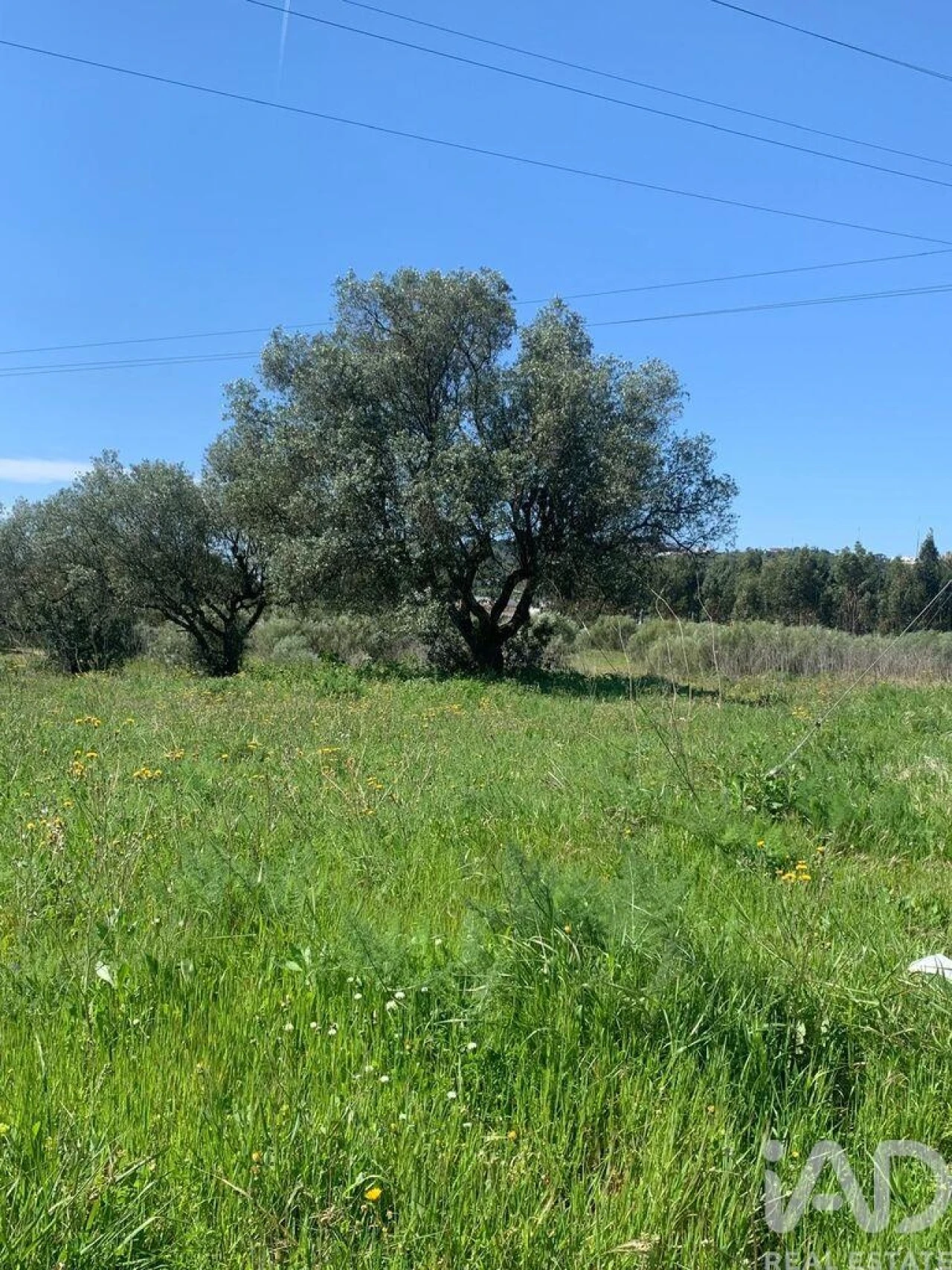 Terreno para Venda em Palmela Foto 16