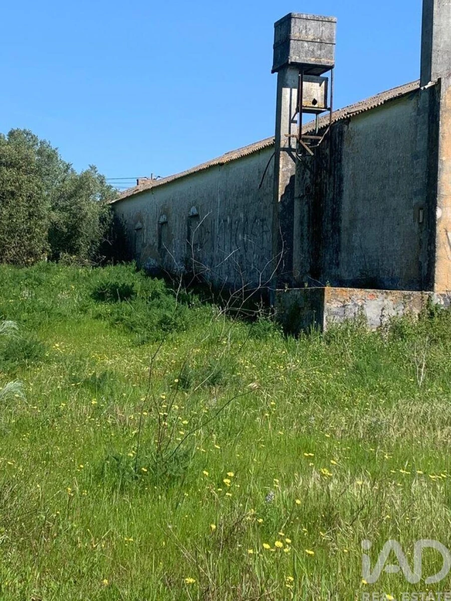 Terreno para Venda em Palmela Foto 5