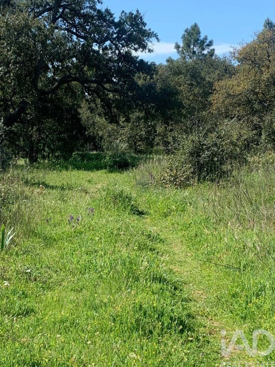 Terreno para Venda em Palmela Foto 21