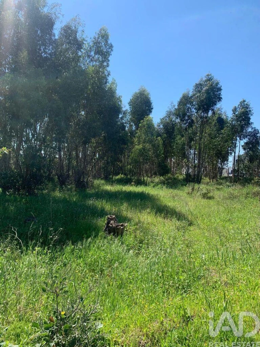 Terreno para Venda em Palmela Foto 10