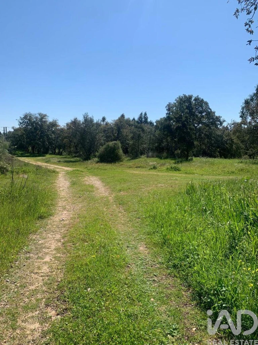 Terreno para Venda em Palmela Foto 20