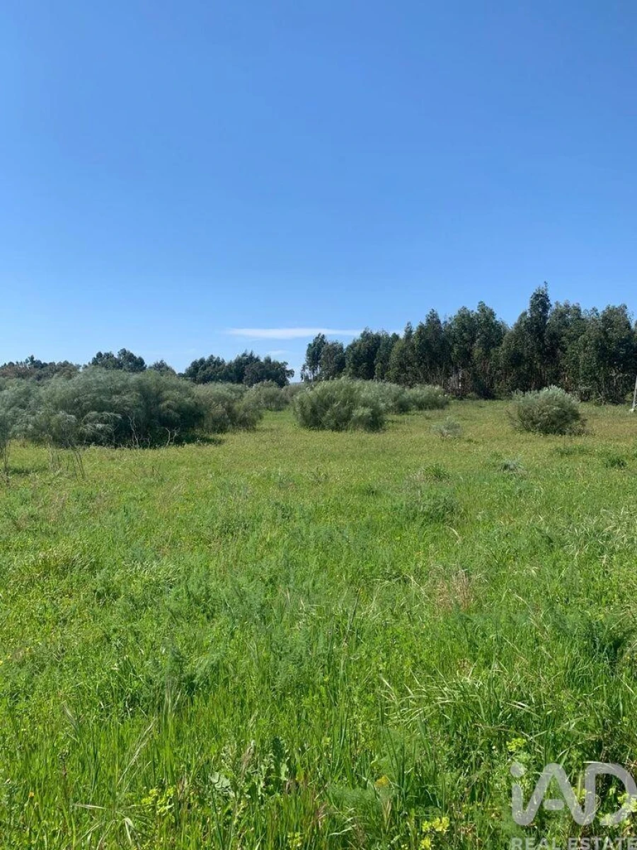 Terreno para Venda em Palmela Foto 13