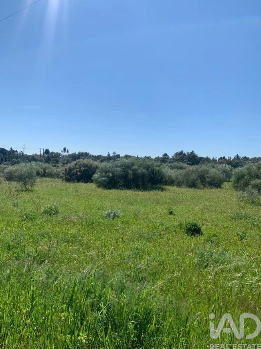 Terreno para Venda em Palmela Foto 12