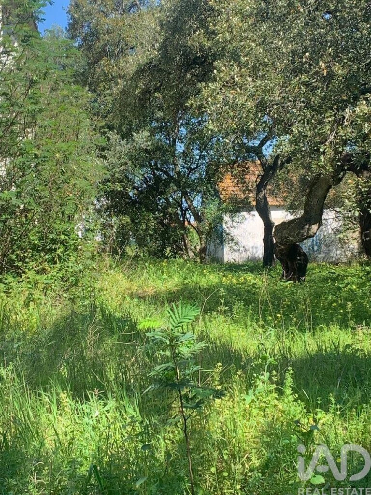 Terreno para Venda em Palmela Foto 27
