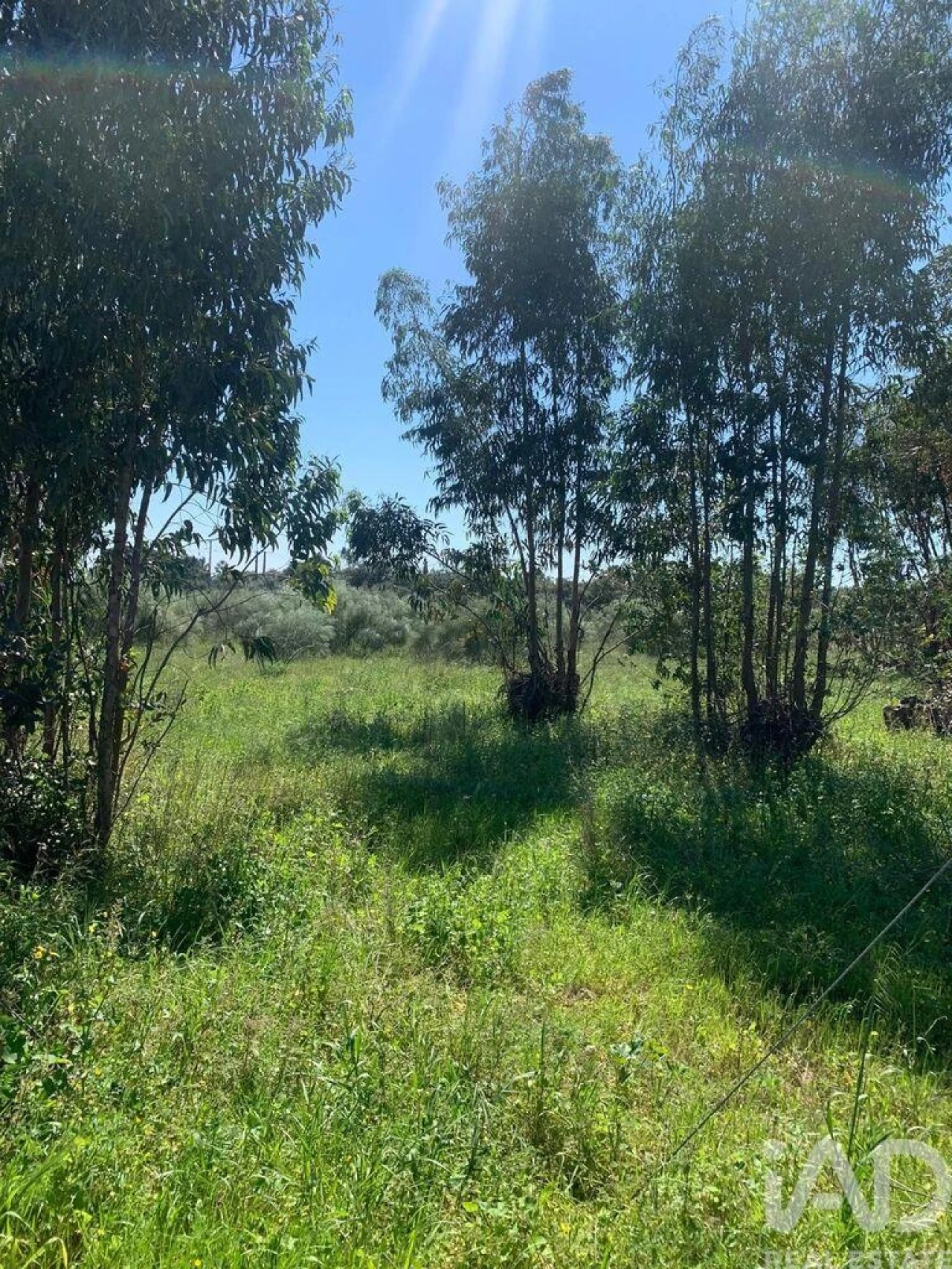 Terreno para Venda em Palmela Foto 11