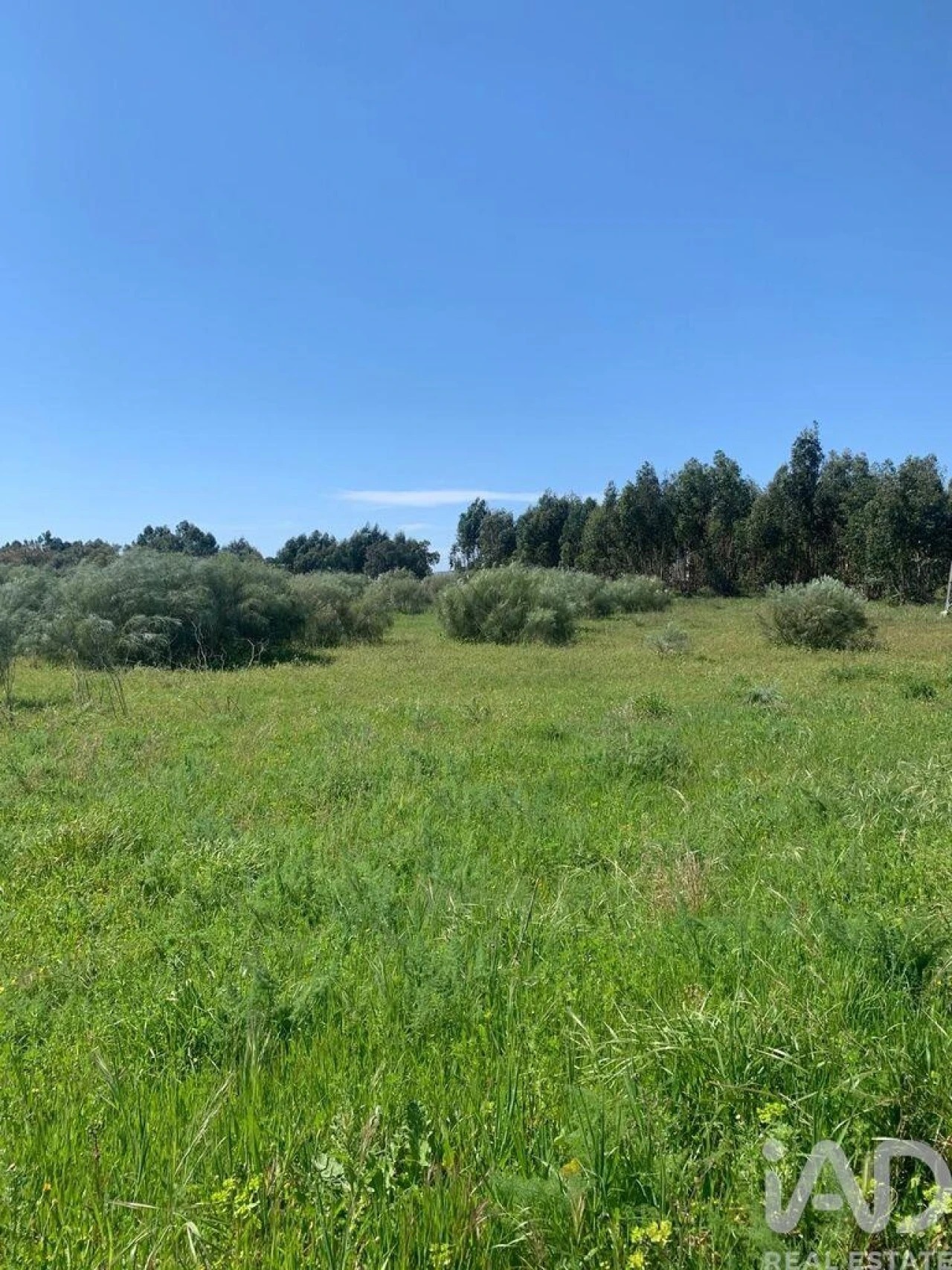 Terreno para Venda em Palmela Foto 13