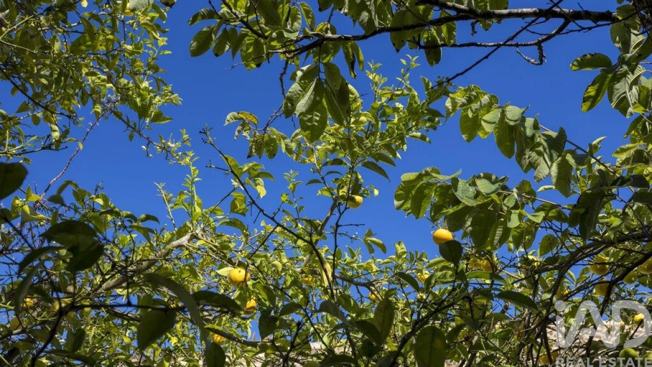 Moradia T4 para Venda em Alvor Foto 30