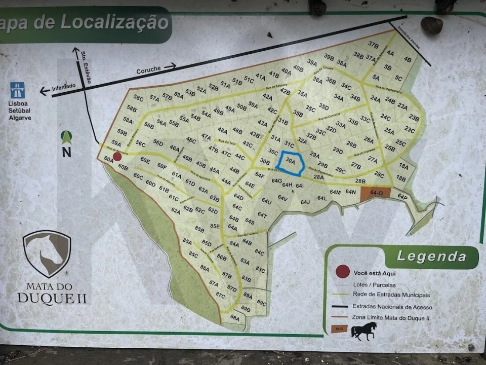 Terreno para Venda em Santo Estêvão Foto 3