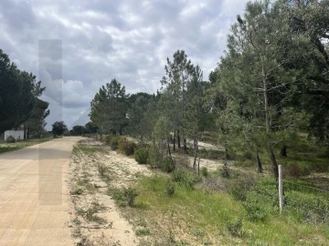 Terreno para Venda em Santo Estêvão