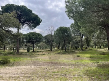 Terreno para Venda em Santo Estêvão