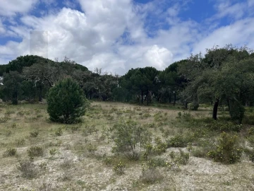 Terreno para Venda em Santo Estêvão