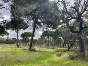Terreno para Venda em Santo Estêvão